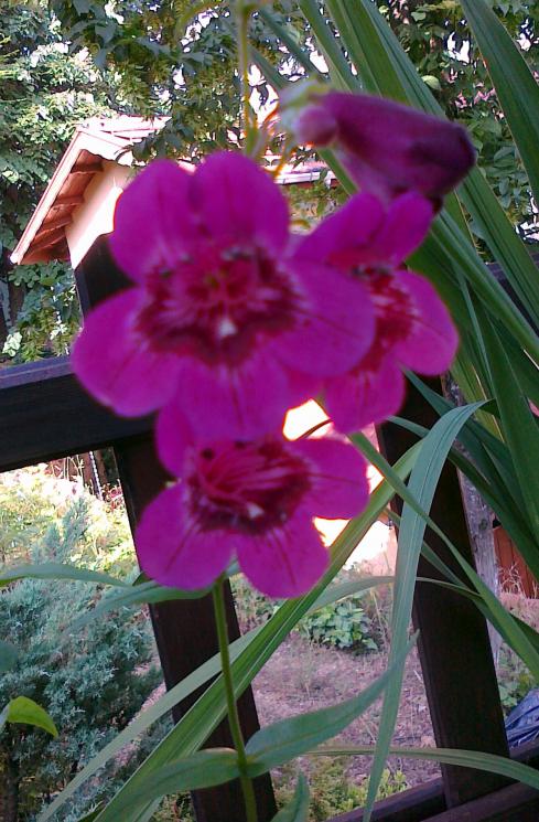 Name:  100720111354.jpg
Views: 516
Size:  77.7 KB