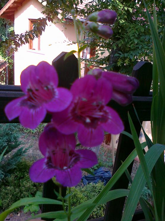 Name:  100720111357.jpg
Views: 505
Size:  74.1 KB