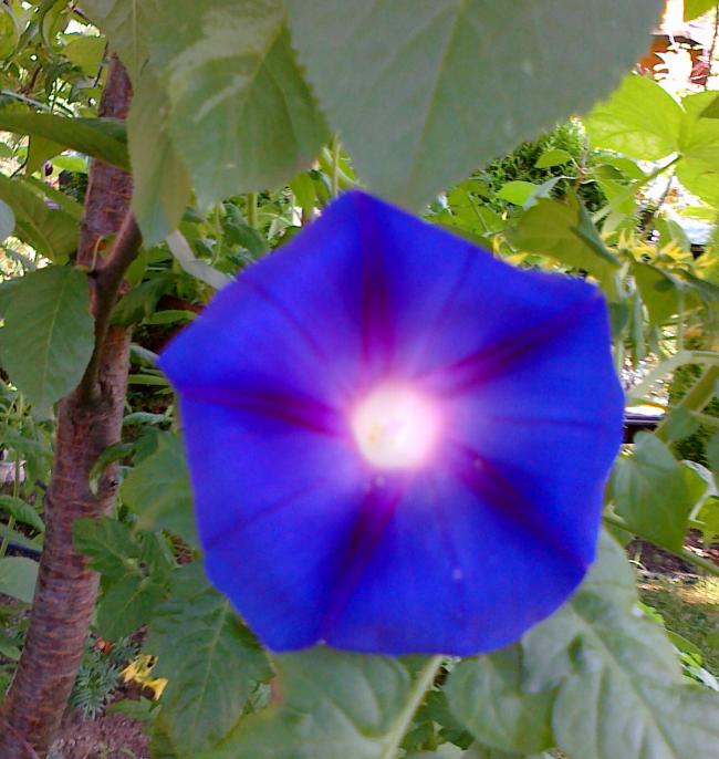 Name:  100720111358.jpg
Views: 547
Size:  59.3 KB