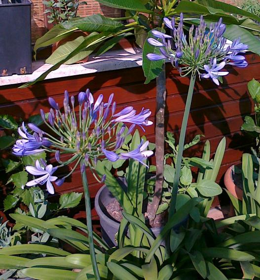 Name:  100720111368.jpg
Views: 691
Size:  76.3 KB