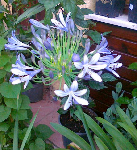 Name:  110720111434.jpg
Views: 701
Size:  73.5 KB