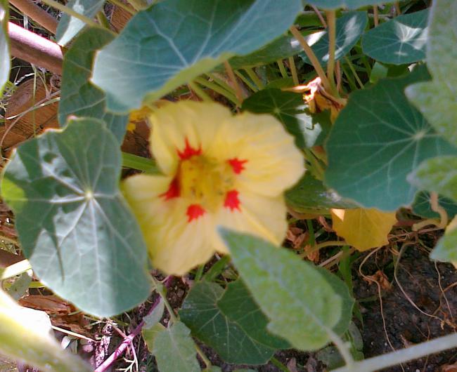 Name:  100720111400.jpg
Views: 678
Size:  54.3 KB