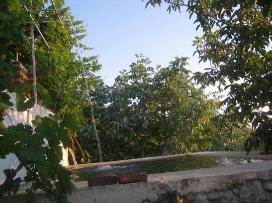 Name:  bahe.jpg
Views: 1246
Size:  52.9 KB