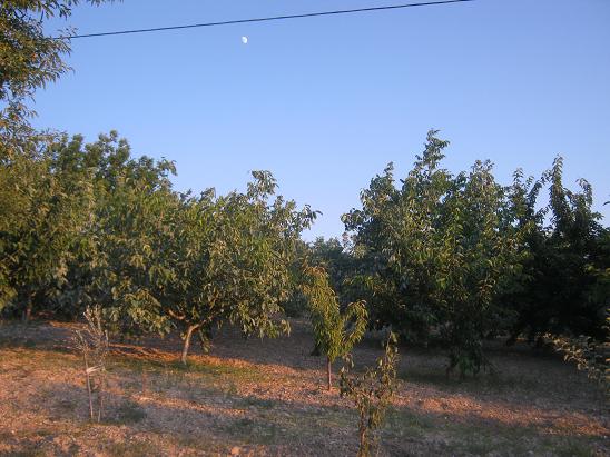 Name:  bahe1.JPG
Views: 1227
Size:  62.3 KB