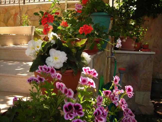 Name:  DSCN5778.jpg
Views: 614
Size:  62.3 KB