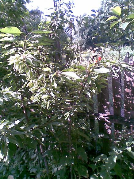 Name:  10072011(002).jpg
Views: 1909
Size:  81.2 KB