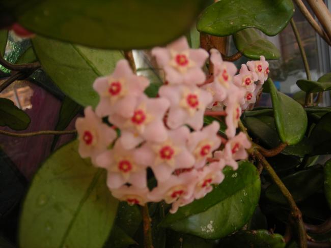 Name:  DSCN5796.jpg
Views: 617
Size:  32.9 KB