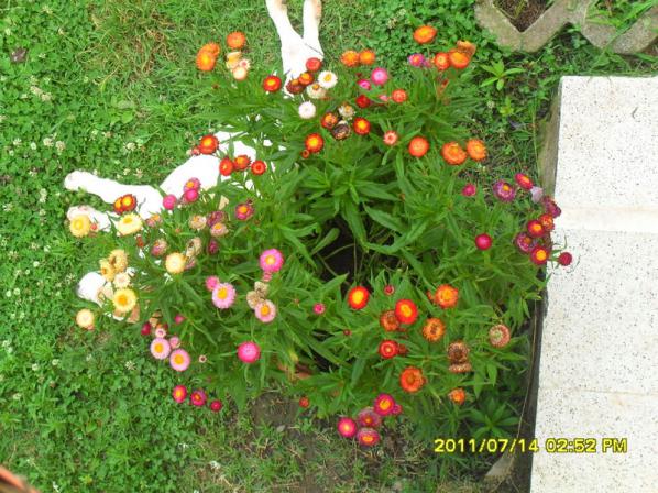 Name:  112.jpg
Views: 1282
Size:  71.3 KB