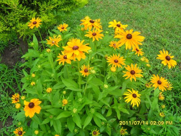 Name:  103.jpg
Views: 1338
Size:  71.5 KB