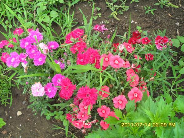Name:  102.jpg
Views: 1277
Size:  72.4 KB