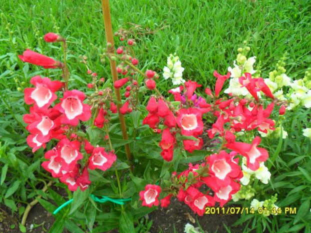 Name:  073.jpg
Views: 1273
Size:  71.7 KB