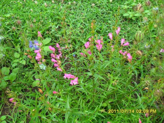 Name:  105.jpg
Views: 1241
Size:  73.0 KB
