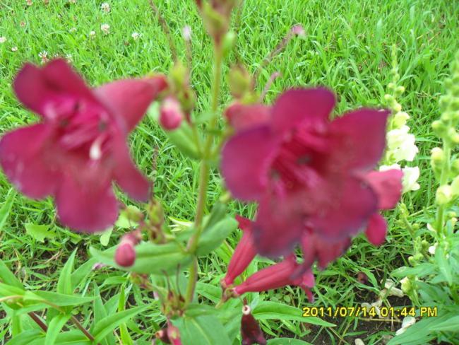Name:  075.jpg
Views: 1279
Size:  68.0 KB