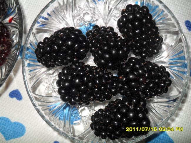 Name:  020.jpg
Views: 674
Size:  64.3 KB