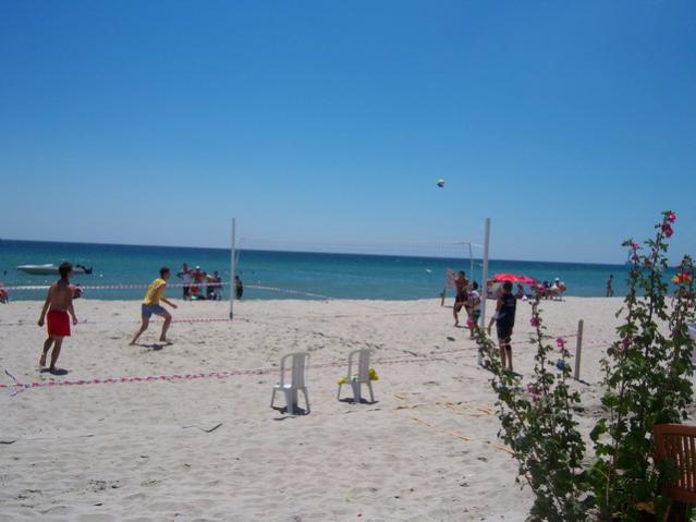 Name:  100_2254.jpg
Views: 379
Size:  35.6 KB