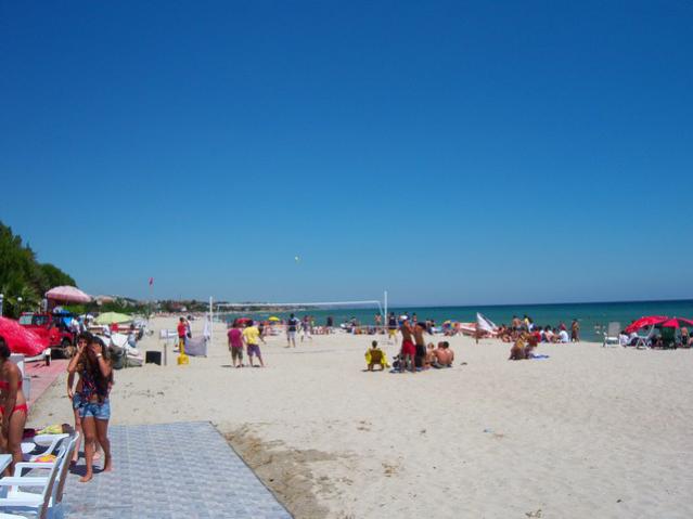 Name:  100_2265.jpg
Views: 377
Size:  29.1 KB