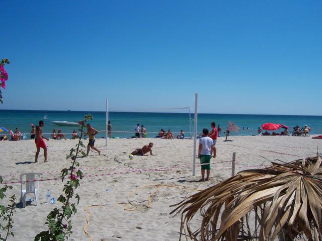 Name:  100_2266.jpg
Views: 379
Size:  41.6 KB