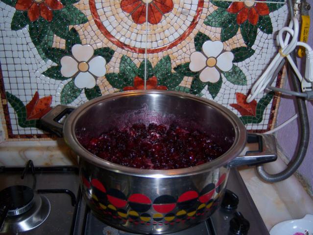 Name:  100_2338.jpg
Views: 492
Size:  59.4 KB