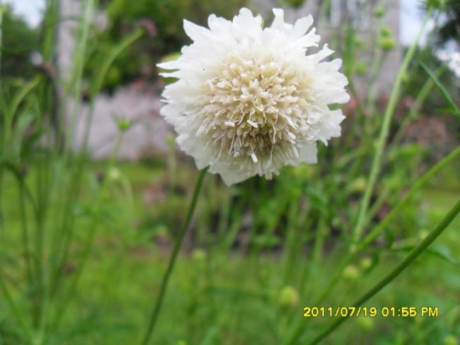 Name:  011.jpg
Views: 599
Size:  34.9 KB