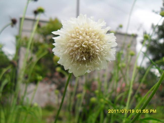 Name:  012.jpg
Views: 579
Size:  33.9 KB