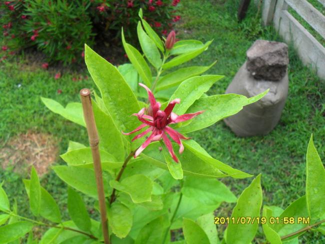 Name:  025.jpg
Views: 683
Size:  54.3 KB