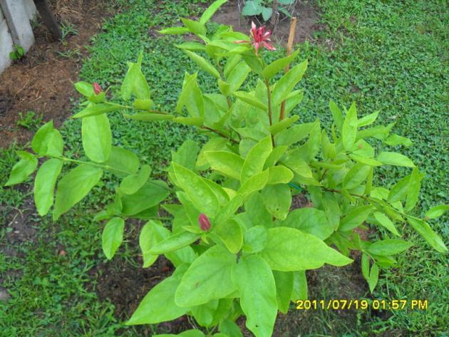 Name:  024.jpg
Views: 625
Size:  71.0 KB