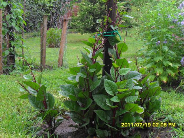 Name:  059.jpg
Views: 583
Size:  70.5 KB