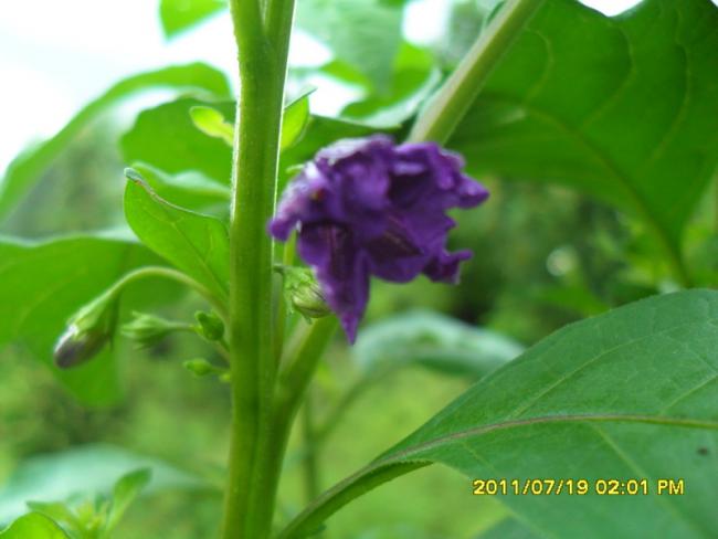 Name:  035.jpg
Views: 550
Size:  31.1 KB