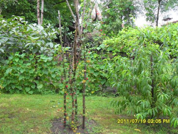 Name:  046.jpg
Views: 591
Size:  72.6 KB