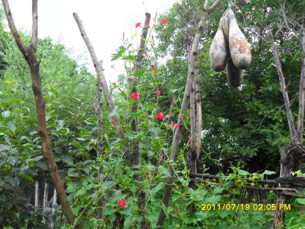 Name:  048.jpg
Views: 617
Size:  72.4 KB