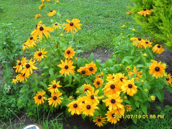 Name:  016.jpg
Views: 721
Size:  72.5 KB