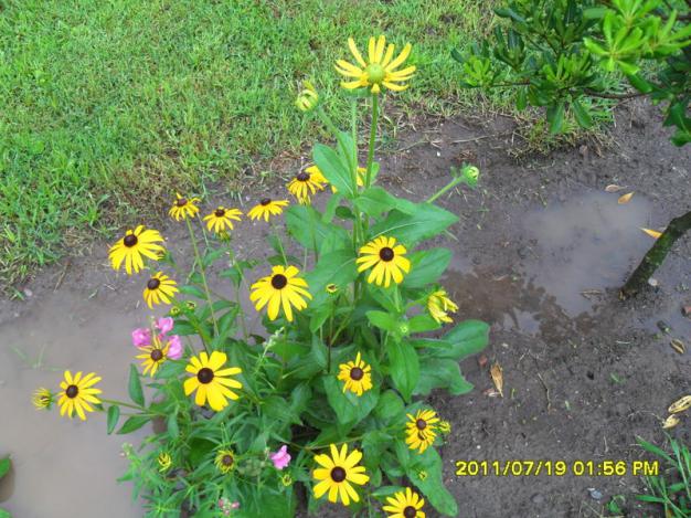 Name:  017.jpg
Views: 581
Size:  71.0 KB