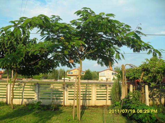 Name:  100.jpg
Views: 587
Size:  70.6 KB
