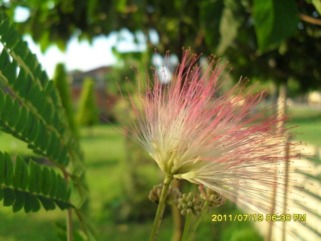 Name:  102.jpg
Views: 565
Size:  43.5 KB