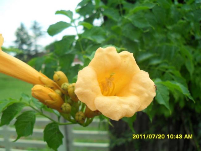 Name:  042.jpg
Views: 884
Size:  34.3 KB