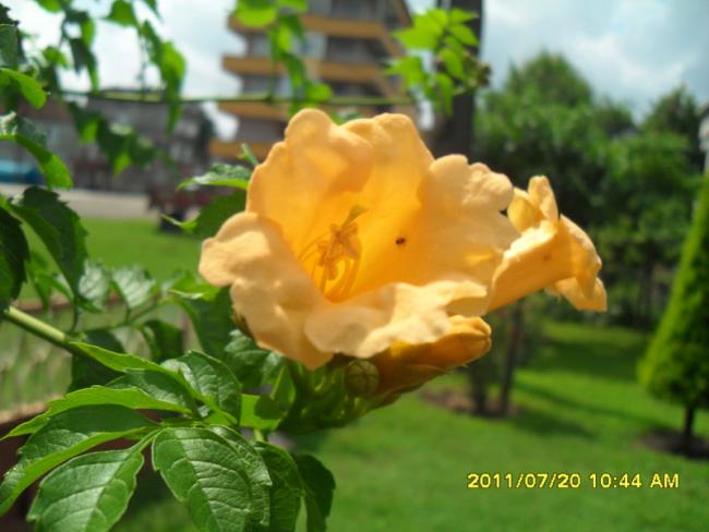 Name:  046.jpg
Views: 837
Size:  39.9 KB