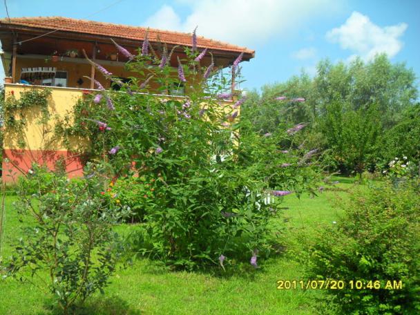 Name:  051.jpg
Views: 759
Size:  70.6 KB