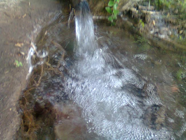 Name:  Fotoraf0515.jpg
Views: 738
Size:  52.9 KB