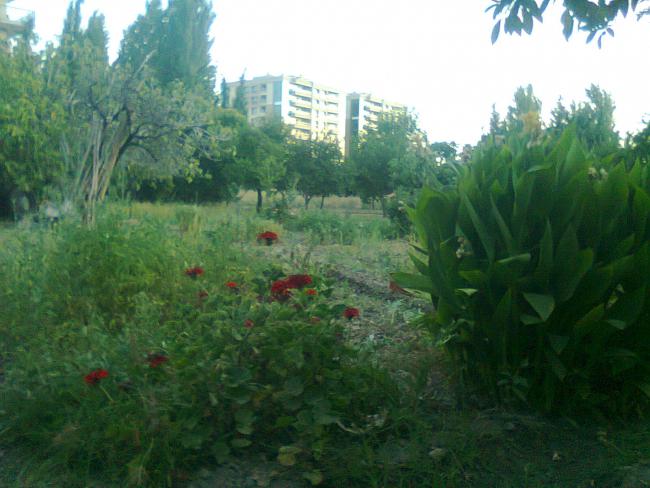 Name:  Fotoraf0521.jpg
Views: 713
Size:  46.9 KB