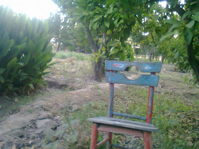 Name:  Fotoraf0522.jpg
Views: 716
Size:  56.4 KB
