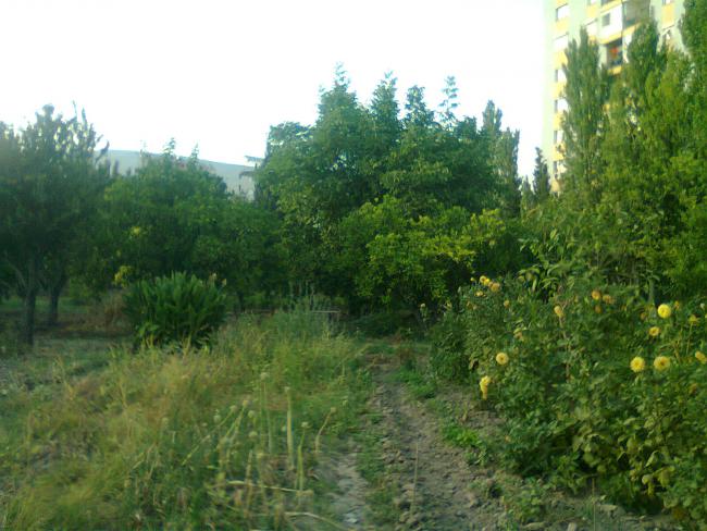 Name:  Fotoraf0532.jpg
Views: 709
Size:  55.2 KB