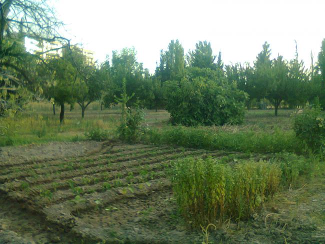 Name:  Fotoraf0533.jpg
Views: 714
Size:  55.7 KB