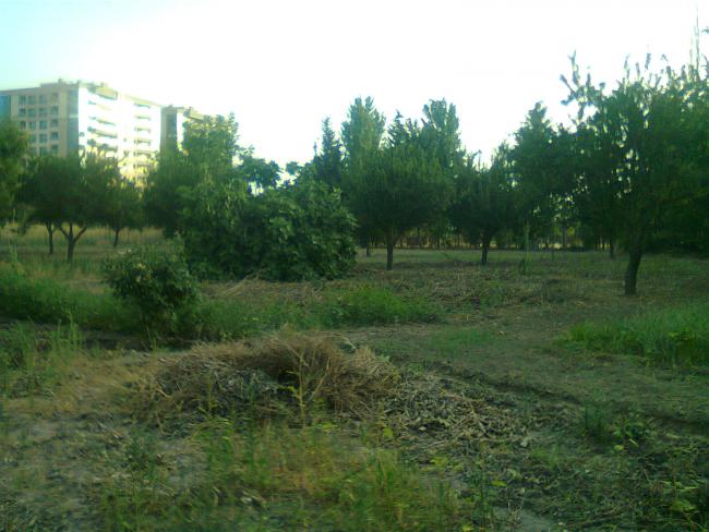 Name:  Fotoraf0534.jpg
Views: 689
Size:  49.3 KB
