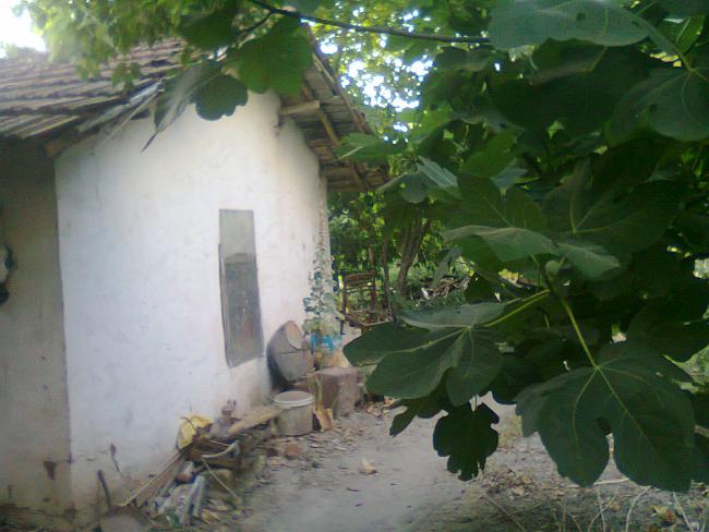 Name:  Fotoraf0537.jpg
Views: 699
Size:  45.7 KB