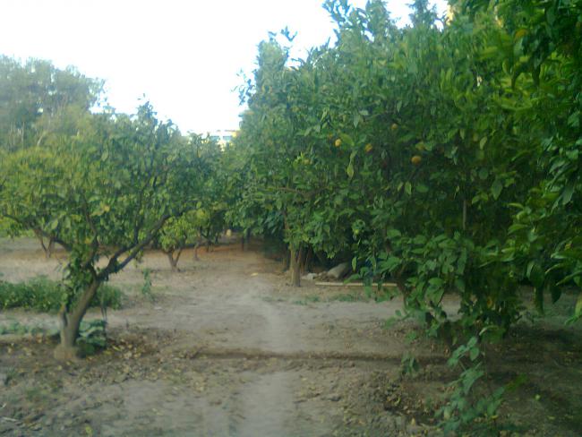 Name:  Fotoraf0545.jpg
Views: 712
Size:  51.8 KB