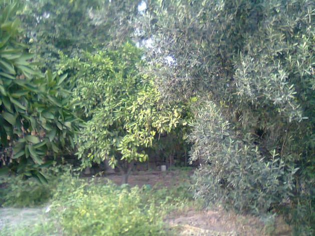 Name:  Fotoraf0549.jpg
Views: 716
Size:  70.7 KB