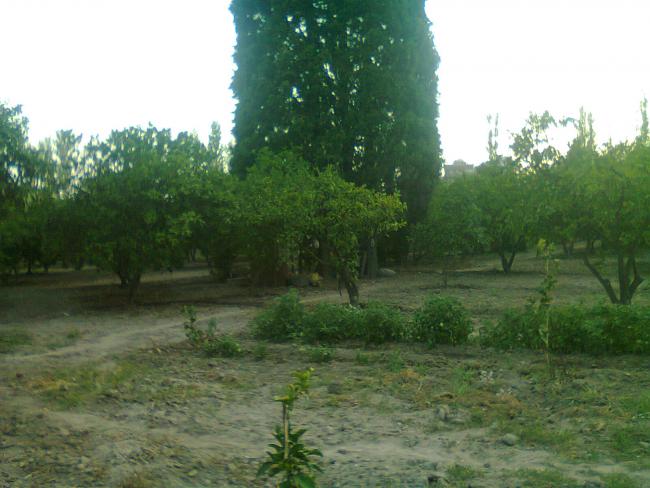 Name:  Fotoraf0556.jpg
Views: 706
Size:  46.4 KB