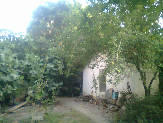 Name:  Fotoraf0557.jpg
Views: 712
Size:  54.2 KB