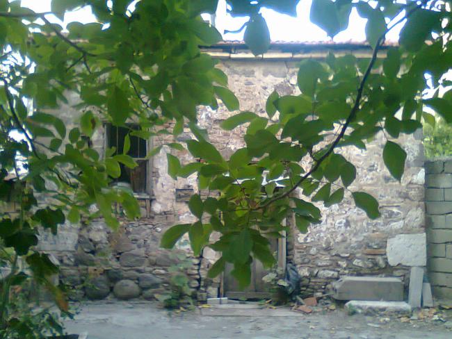 Name:  Fotoraf0563.jpg
Views: 711
Size:  61.5 KB