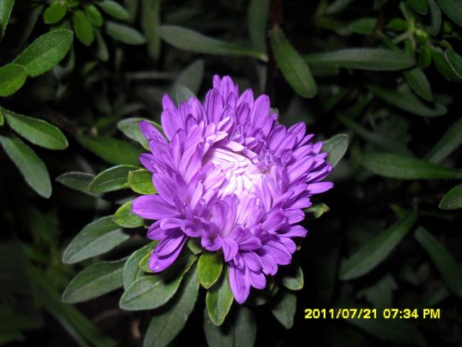 Name:  109.jpg
Views: 1050
Size:  40.1 KB